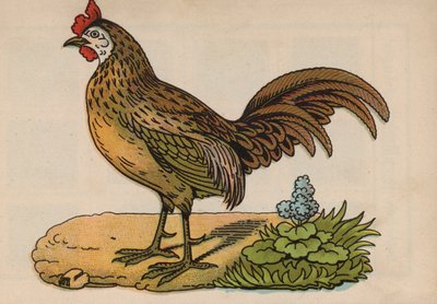 Page du Livre Magique (lithographie en couleur) - European School