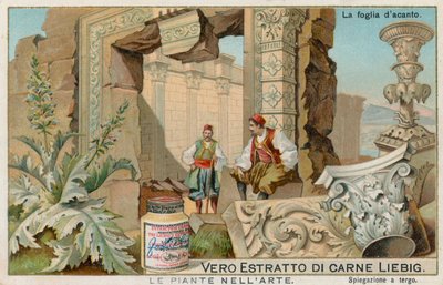 Les plantes dans l