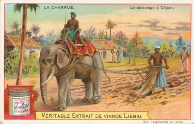 Labour à l