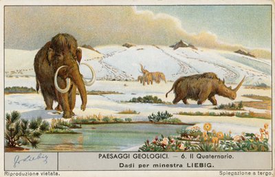 Monde préhistorique, carte de Liebig, début du 20e siècle (chromo) - European School