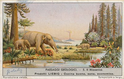 Monde préhistorique, carte de Liebig, début du 20e siècle (chromo) - European School