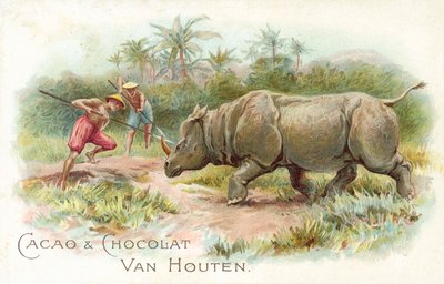 Rhinocéros attaqué - European School