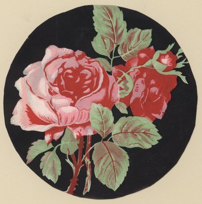 Rose (colour litho) - European School