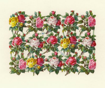 Roses - European School