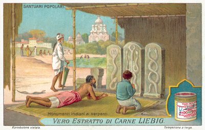 Monuments de serpents en Inde - European School