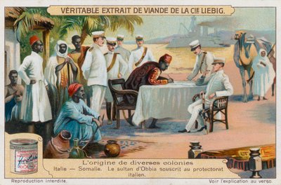 Somalie - European School