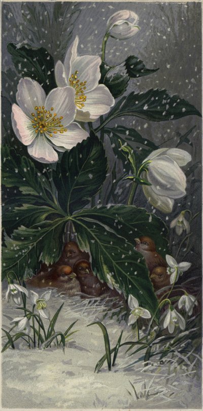 Moineaux se protégeant de la neige sous une plante en fleurs - European School