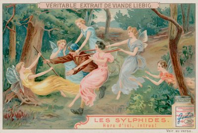 Sylphes et un intrus - European School