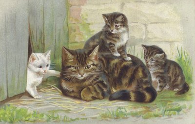 Chat tabby avec trois chatons (chromolitho) - European School