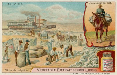 Vue d