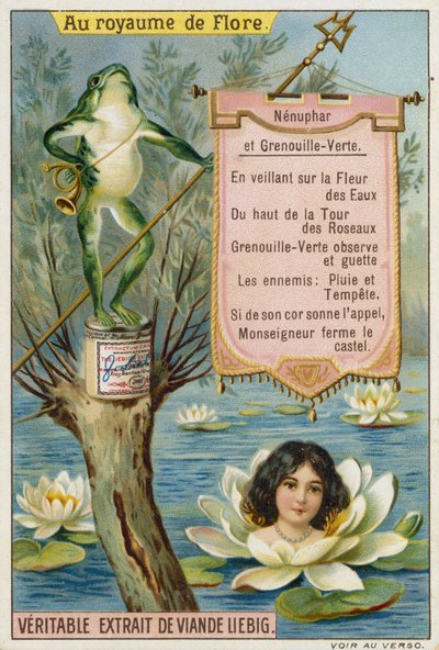 Nénuphar et grenouille - European School