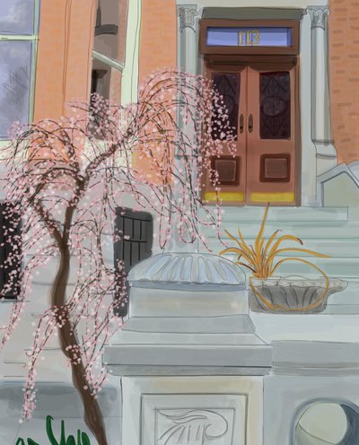 Cerisier en fleurs, Brooklyn, 2017 (dessiné à la main sur un iPad avec un crayon Apple). - Evan Sklar