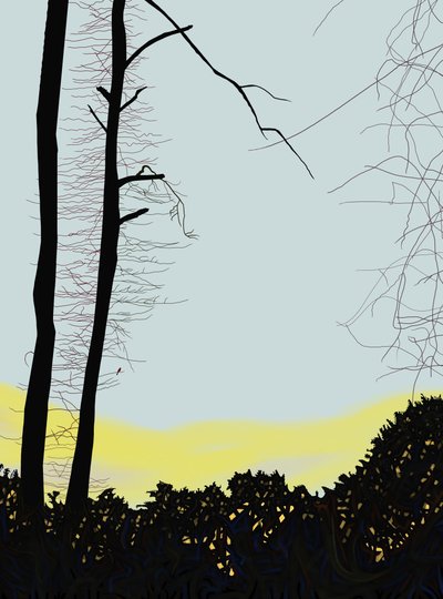 Cardinal dans un arbre (art numérique) - Evan Sklar