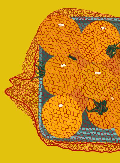 Tomates cerises en conteneur (art numérique) - Evan Sklar