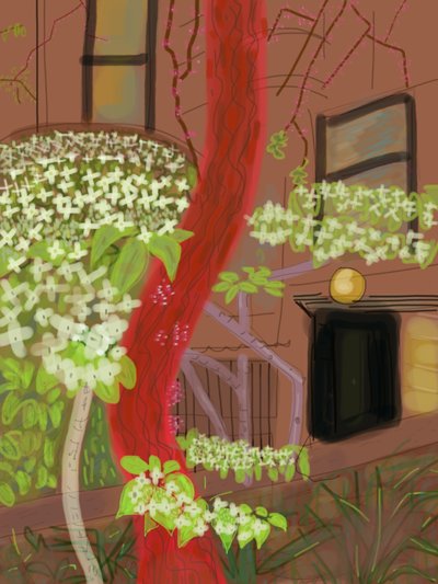 Cornouiller fleuri, 2015 (dessiné à la main sur un iPad avec un crayon Apple) - Evan Sklar
