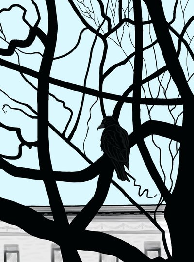 Faucon sur une branche en ville (art numérique) - Evan Sklar