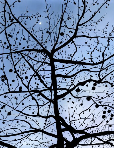 London PlaneTree and Moon, Brooklyn (art numérique) - Evan Sklar