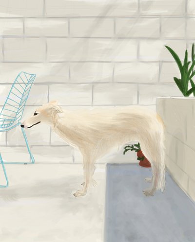 Penny On The Back Porch 2017 (dessiné à la main sur un iPad avec un crayon Apple) - Evan Sklar