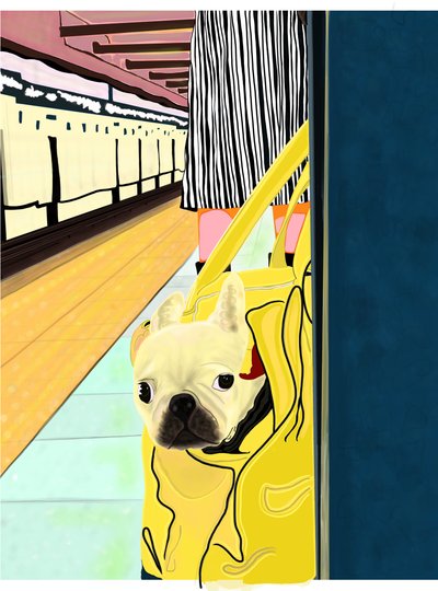 Voyageur du métro avec un chien dans son sac, Brooklyn (art numérique) - Evan Sklar