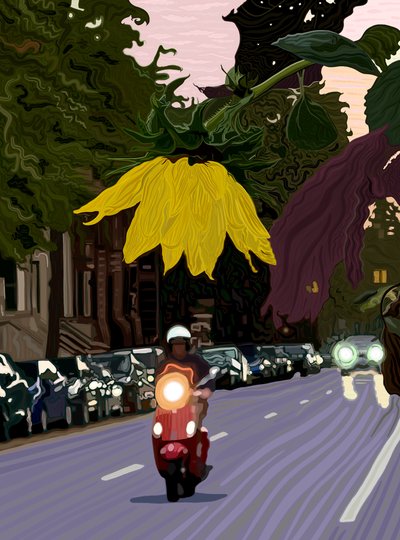Tournesol et homme conduisant un scooter rouge (art numérique) - Evan Sklar