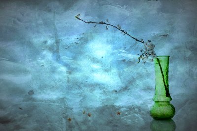 Fleurs bleues tranquilles - Eyal Amer
