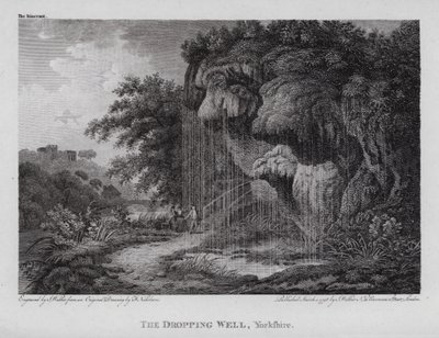 Le puits de goutte à goutte, Yorkshire - F. (after) Nicholson