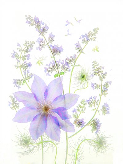  - Fangping Zhou