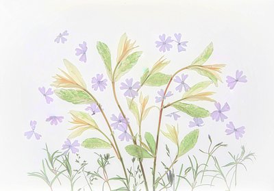  - Fangping Zhou