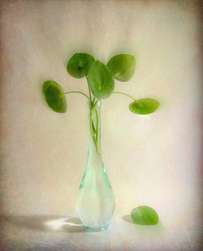  - Fangping Zhou