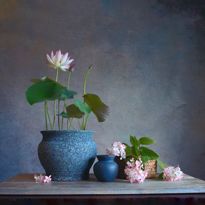Nature morte au lotus serein - Fangping Zhou