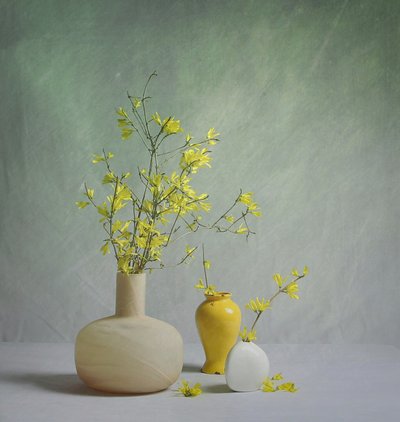  - Fangping Zhou