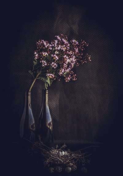  - Farid Kazamil