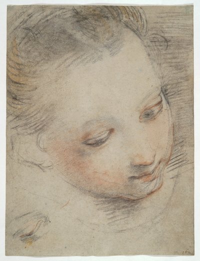 Tête de fille, étude pour une figure dans le retable de la Madonna del Popolo aux Offices - Federico Barocci