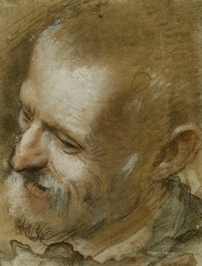 Étude de la tête d