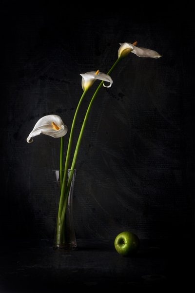  - Felice Angelino