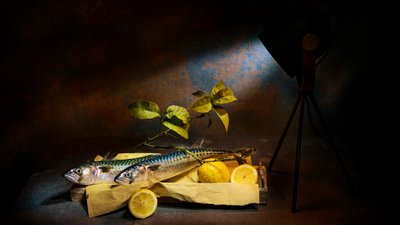 Nature morte spectaculaire représentant un maquereau - Felice Angelino