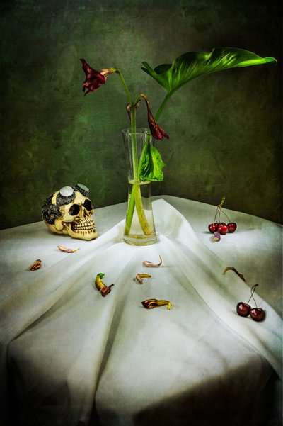 Vanitas au crâne gothique - Felice Angelino