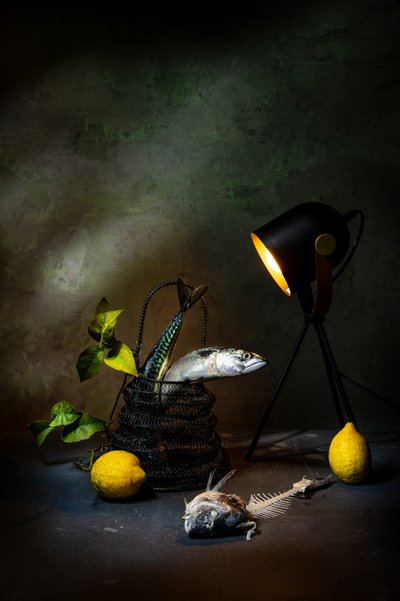  - Felice Angelino
