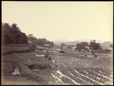 Fujiyama depuis la nouvelle route - Felice Beato