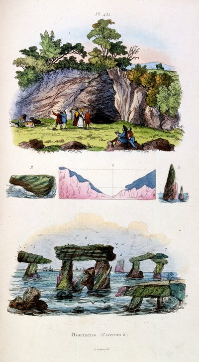 Botanical and zoological illustration by F. E. Guerin. From Dictionnaire pittoresque d