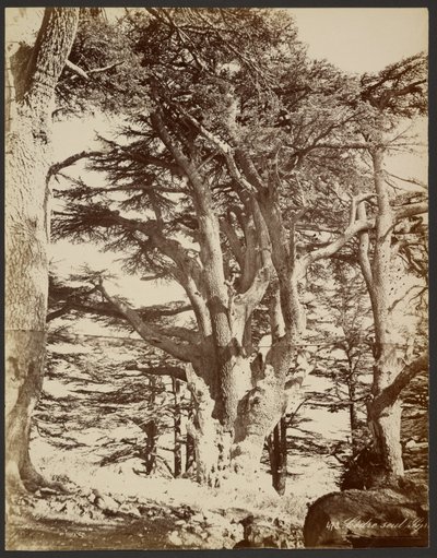  - Félix Bonfils