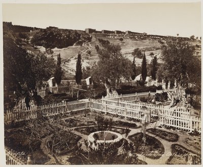 Jardin de Gethsémani n° 303 - Félix Bonfils