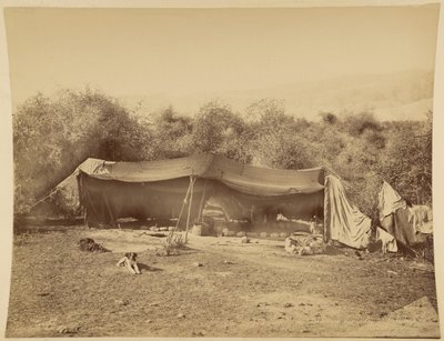 Tente de Bédouins nomades, Palestine - Félix Bonfils