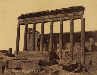 Colonnade détachée devant un temple à Palmyre, Syrie - Félix Bonfils