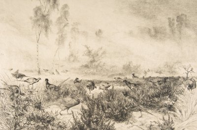 Brumes du matin - Felix Bracquemond