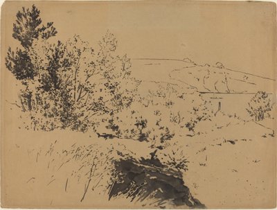 Paysage côtier - Felix Bracquemond