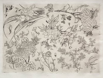 Service de table (service Rousseau) : Fleurs (n° 23) - Felix Bracquemond