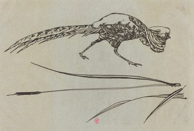 Faisan - Felix Bracquemond