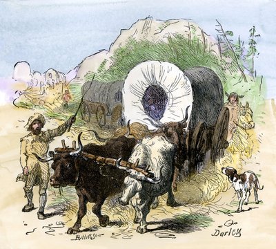 Histoire des colons et de la conquête de l