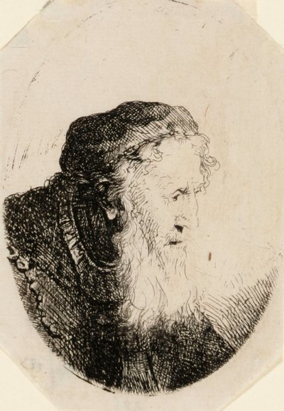 Vieil homme à la barbe flottante - Ferdinand Bol